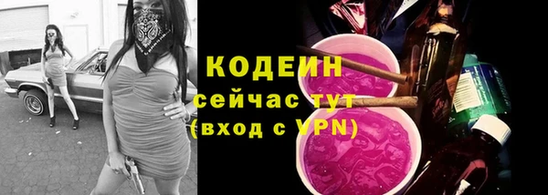 герыч Иннополис