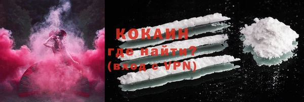 мяу мяу мука Инта