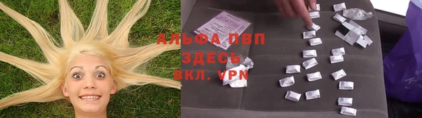a pvp Зерноград