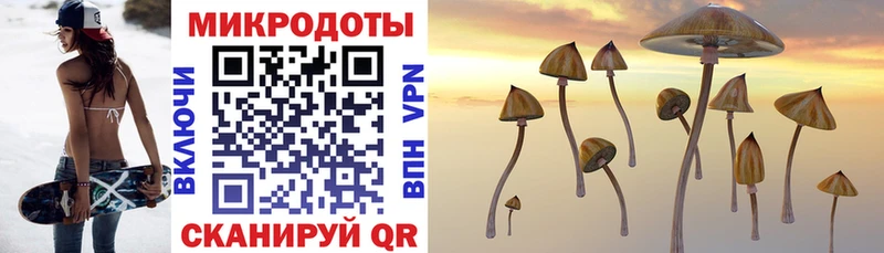 Псилоцибиновые грибы GOLDEN TEACHER  Купить  Муром 